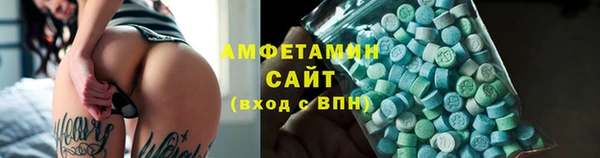 индика Осташков