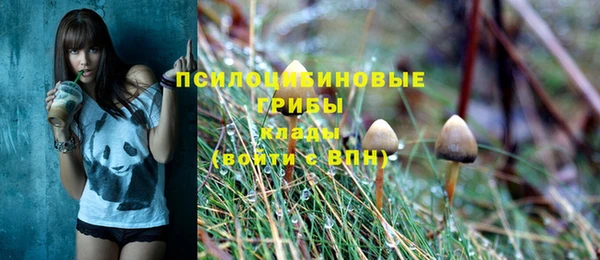 ECSTASY Алексин
