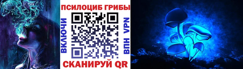 закладки  Санкт-Петербург  Псилоцибиновые грибы ЛСД 